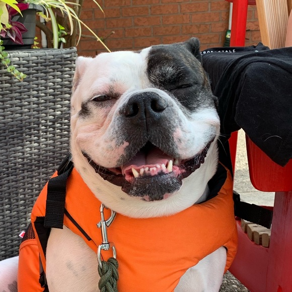 Meet your Posher, Kate - Picture 1 of 1